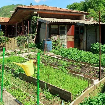 Appartamento Locazione Turistica Les Maisons Della Fattoria 2 - Ora202 *